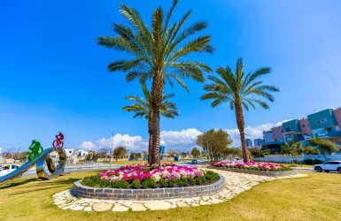 צילום: סיון מטודי