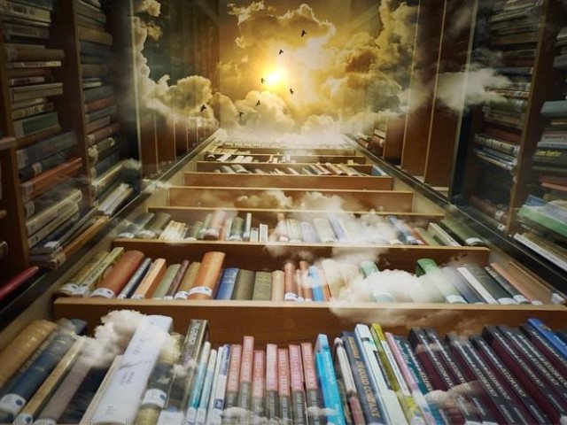 קרדיט: PIXABAY