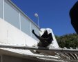 הנפל שאותר באשקלון במהלך השבת | צילום: דוברות עיריית אשקלון