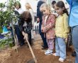 נוטעים יחד את העתיד: חוגגים את ט"ו בשבט בנטיעות משותפות