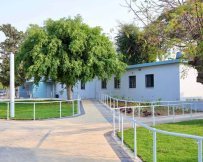 צילום: אלדד עובדיה