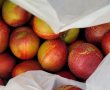 חשד: תושב העיר גנב עשרות ק"ג אפרסקים 