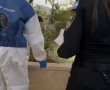 ילדה בת 3 נרצחה במזרח ירושלים- אביה נעצר 