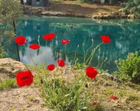 גן השלושה. צילום - דניאל קרונר, רשות הטבע והגנים