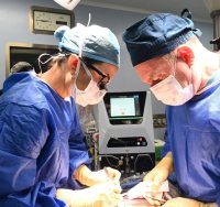 דוברות המרכז הרפואי ברזילי