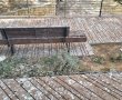מרכז העיר באר שבע: הציפורים מתות והלשלשת חוגגת, אז איפה העירייה?