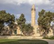 מתחם המוזיאונים בבאר שבע חוזר לפעול – עם תרבות, אמנות ותקווה
