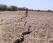 רעידת אדמה הורגשה הבוקר מערד ועד ירושלים