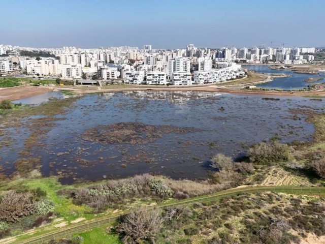 קרדיט צילום: אקו-פארק אשקלון
