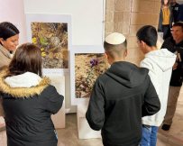 צילום: סיון מטודי