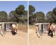 התלמידות נפצעו במהלך טיול שנתי 