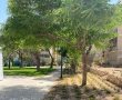 שימו לב: אחד הרחובות השוקקים בעיר יהפוך בקרוב לכחול 