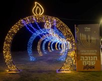 צילום: סיון מטודי