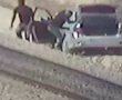 מרדף לילי ביום כיפור: נתפסה חוליית גנבים שחתכה כבלי חשמול בב"ש