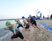 צילום: סיון מטודי