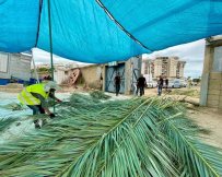 צילום: דוברות עיריית אשקלון