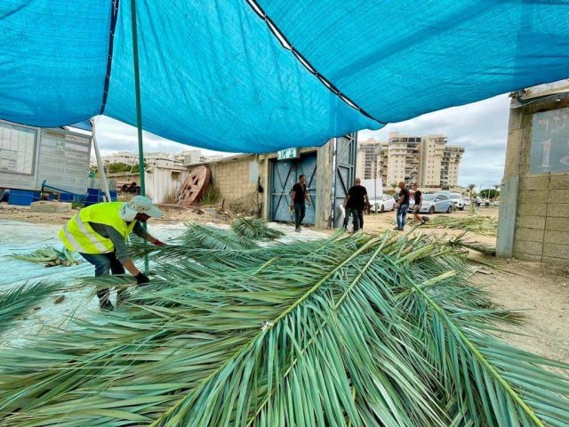 צילום: דוברות עיריית אשקלון