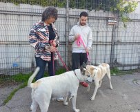 צילום: דוברות עיריית אשקלון