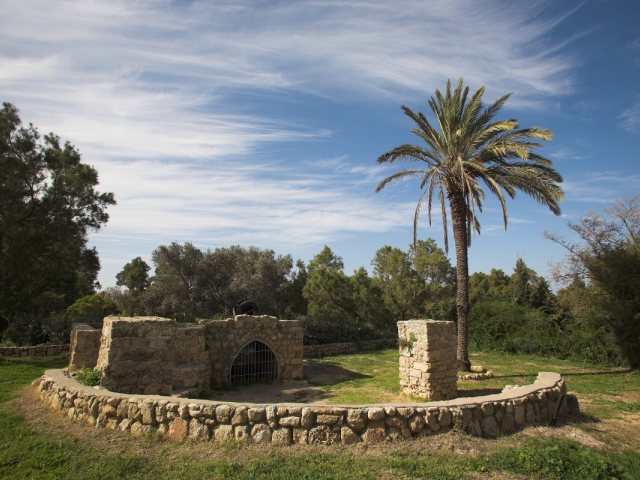 גן לאומי אשקלון. צילום: דורון ניסים רשות הטבע והגנים