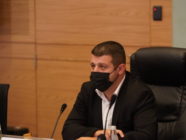 ח"כ קושניר בועדה. צילום: דני שם טוב, דוברות הכנסת