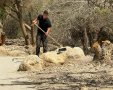צילום שלומית שביט רשות הטבע והגנים