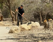 צילום שלומית שביט רשות הטבע והגנים