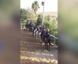 החווה הטיפולית האהובה נקלעה למשבר ובעליה מתריעים: ''המקום לא יוכל להמשיך לפעול''