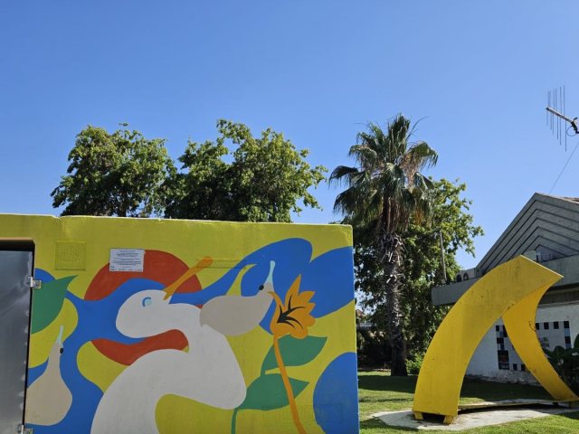 צילום: שי בלאיש