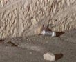 מטען צינור הושלך על כוח מג"ב שפעל בשכונת עיסאוויה