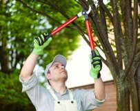 קרדיט תמונה depositphotos