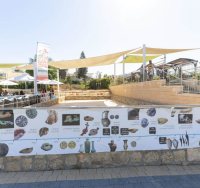 צילום: סיון מטודי