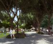 צה"ל עולה לנגב ובבאר שבע נערכים עם מגוון אפשריות למגורים 