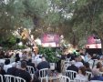 צילום: סיון מטודי ואלדד עובדיה