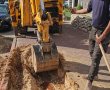 חג האילנות: הבשורה המלבבת של חבר המועצה החסידי 
