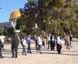 דניאל קופף (צילום: דו"צ) אחרי כשלושה שבועות מתוחים: הר הבית נפתח ליהודים