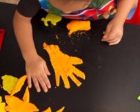 קרדיט - אדנמ-אדם 