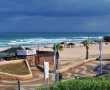 חוף הכלבים – לרוץ בחול החם
