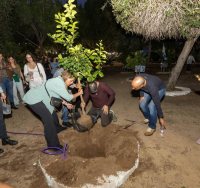 צילום: סיון מטודי