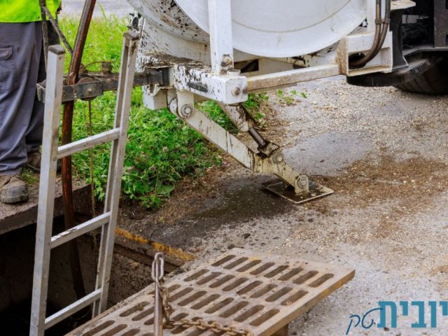 קרדיט לתמונה canva